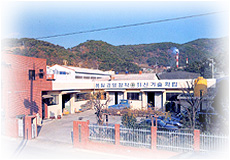 Company Information